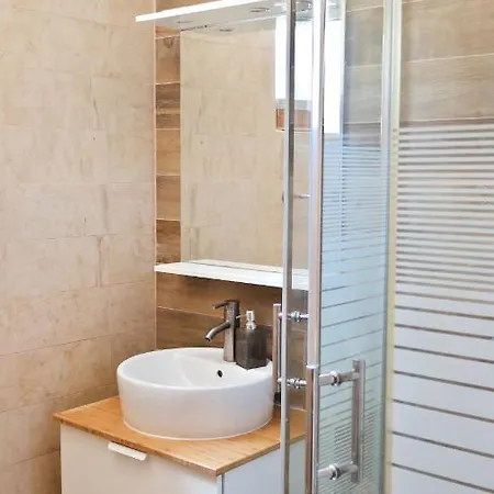 House Holek דירה *